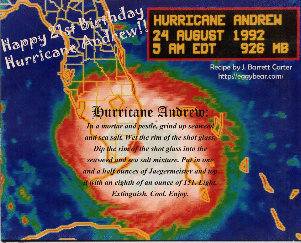 Hurricane Andrew.  By J. Barrett Carter.  