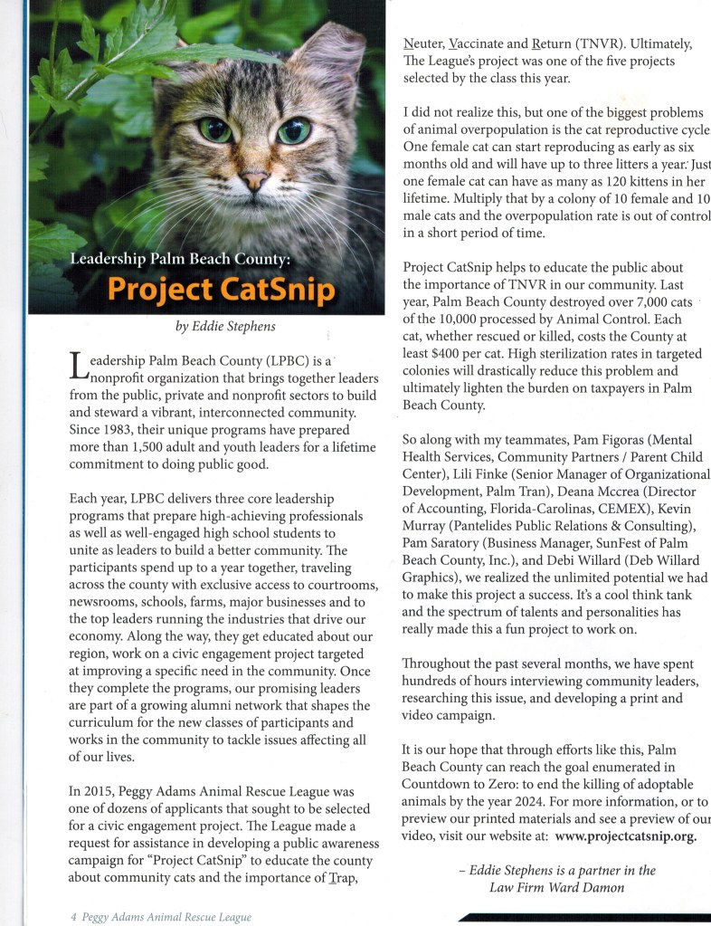 catsnip article jpg