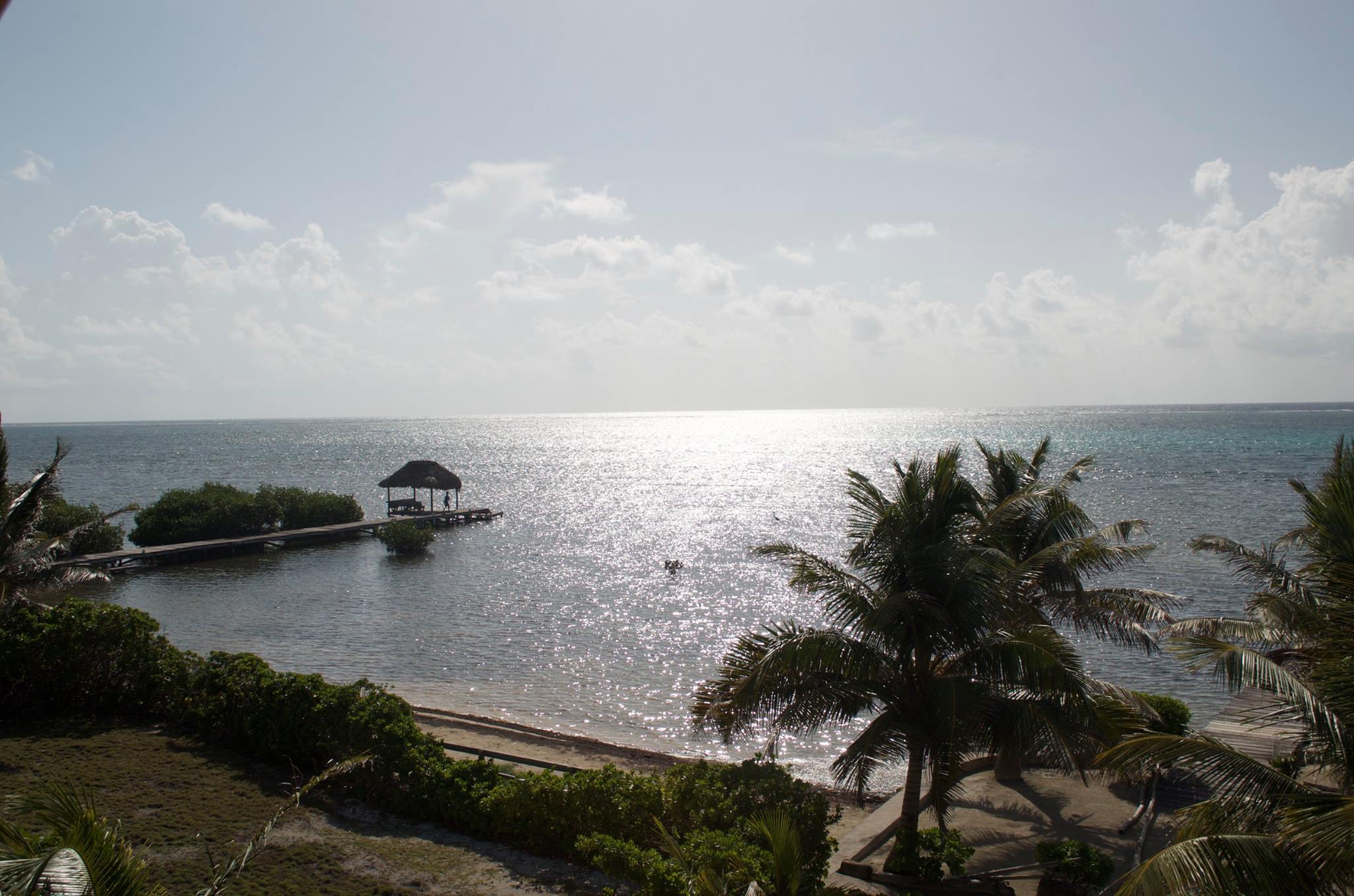 13914151_10154173022600041_5685319413149075698_o