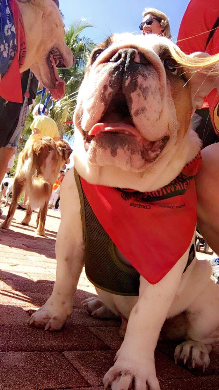 17157574_10154834719590041_2922714714328802799_o